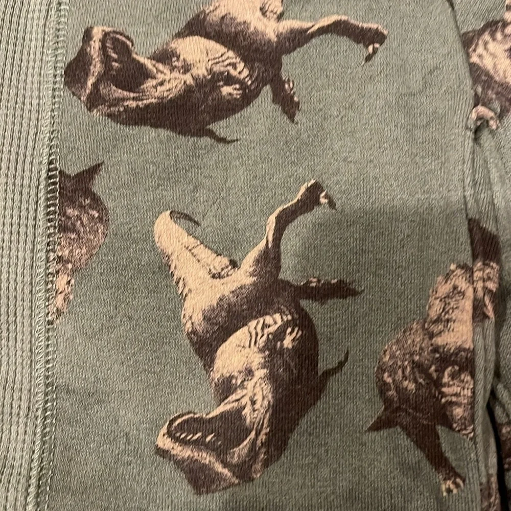 Dinosaur sweatpants and hoodie - Picture 2 of 8